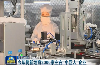 今年將新培育3000家左右“小巨人”企業(yè)！